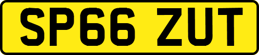 SP66ZUT