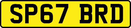 SP67BRD