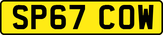 SP67COW