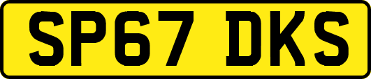 SP67DKS
