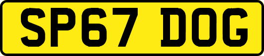SP67DOG
