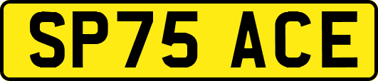 SP75ACE