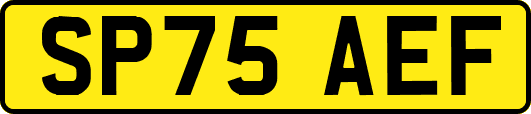 SP75AEF