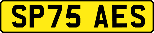 SP75AES