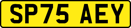 SP75AEY