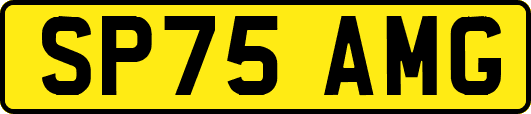 SP75AMG