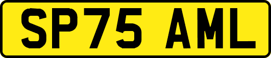 SP75AML