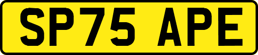 SP75APE