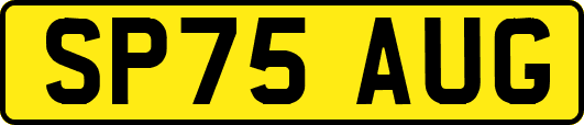 SP75AUG