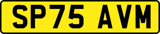SP75AVM