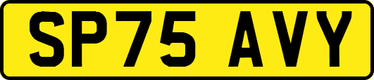 SP75AVY