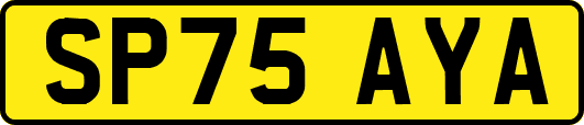 SP75AYA