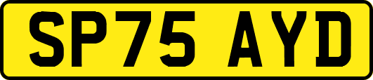 SP75AYD
