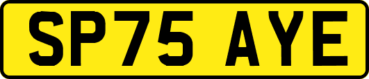 SP75AYE