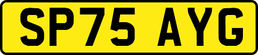 SP75AYG
