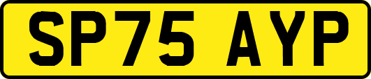 SP75AYP