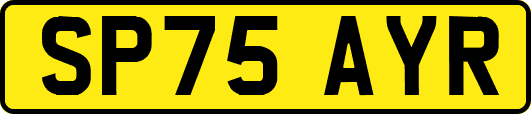SP75AYR