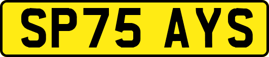 SP75AYS