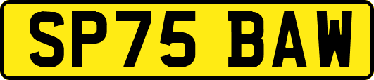 SP75BAW