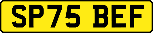 SP75BEF