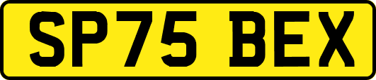 SP75BEX
