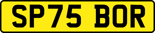 SP75BOR