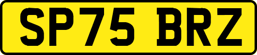 SP75BRZ