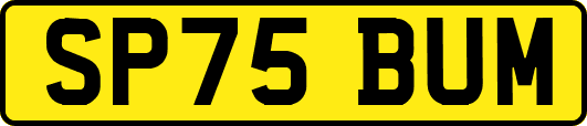 SP75BUM
