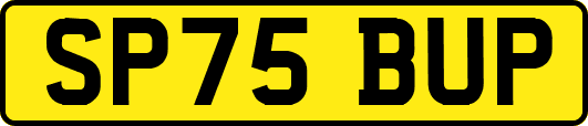 SP75BUP
