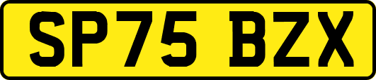 SP75BZX