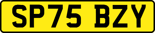 SP75BZY