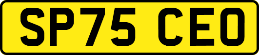 SP75CEO