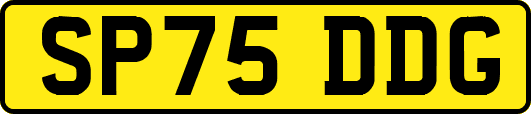 SP75DDG