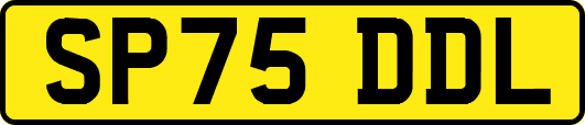 SP75DDL