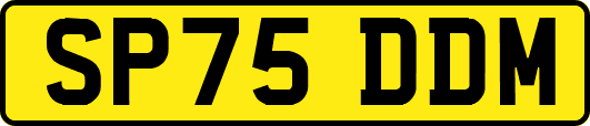 SP75DDM