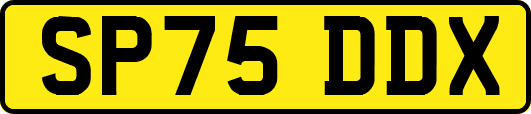 SP75DDX