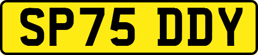 SP75DDY