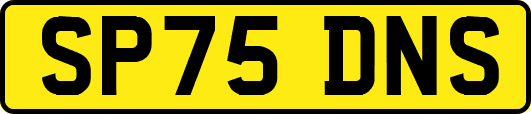 SP75DNS