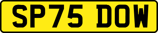 SP75DOW