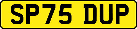 SP75DUP