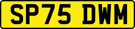 SP75DWM