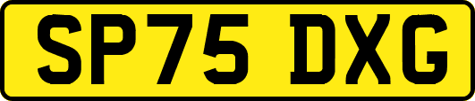 SP75DXG