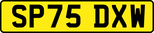 SP75DXW