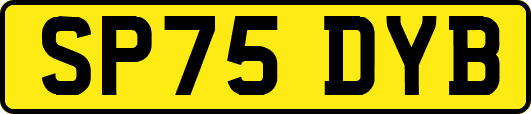 SP75DYB