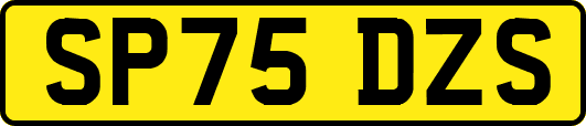 SP75DZS