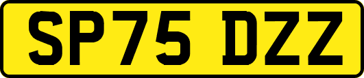 SP75DZZ