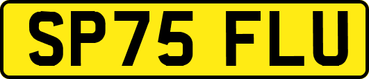 SP75FLU