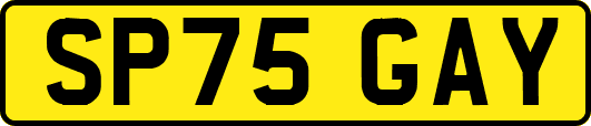 SP75GAY
