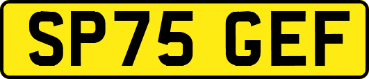 SP75GEF