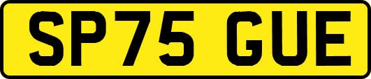 SP75GUE